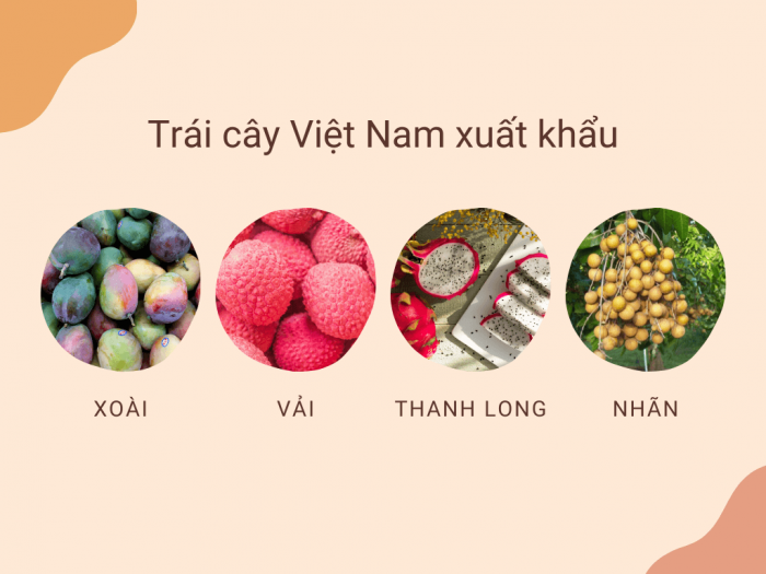 Có 4 loại trái cây tươi của Việt Nam được xuất chính ngạch sang Australia