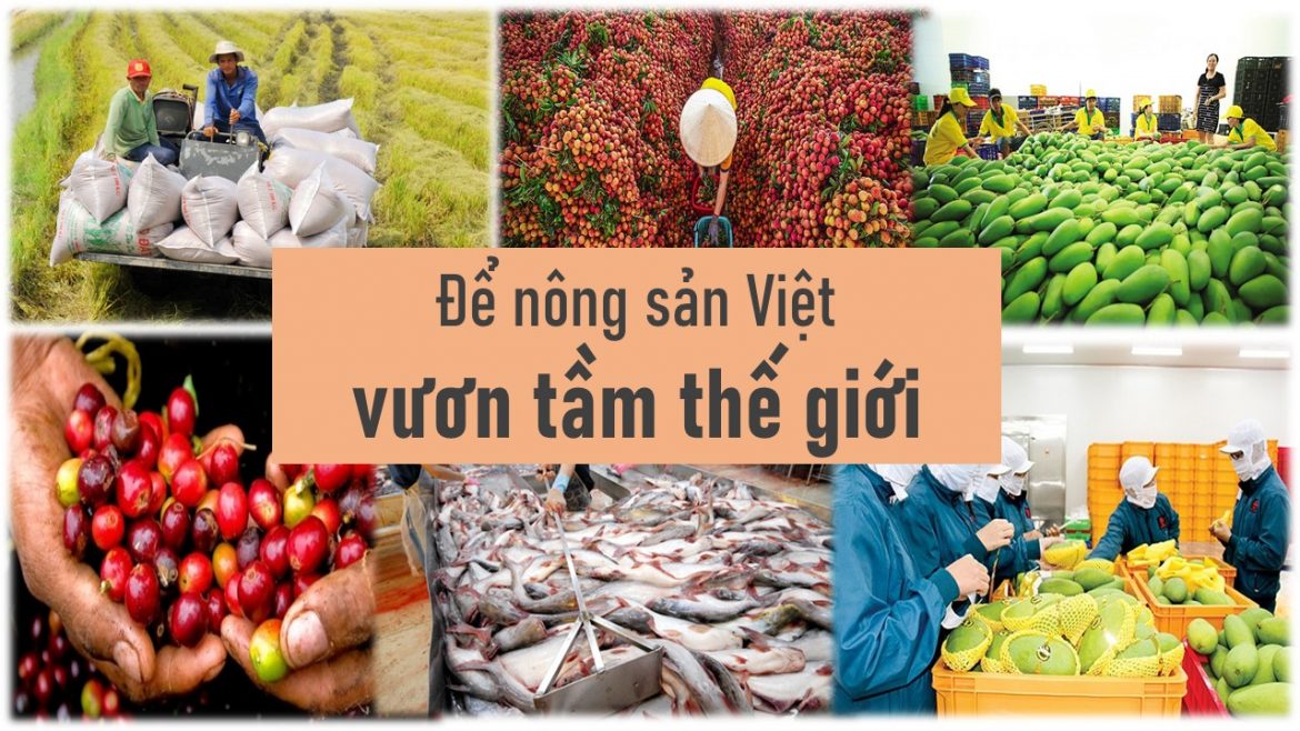 Australia ưu tiên thúc đẩy xuất nhập khẩu nông sản với Việt Nam