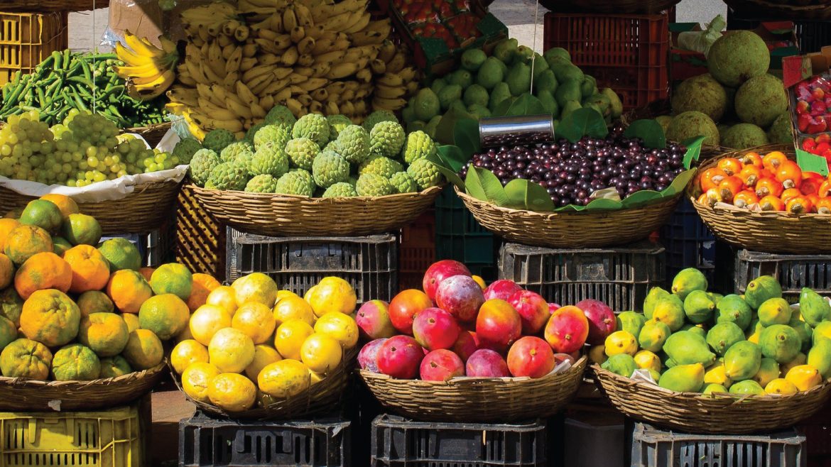 Hoa quả Việt Nam đắt hàng ở thị trường Châu Âu